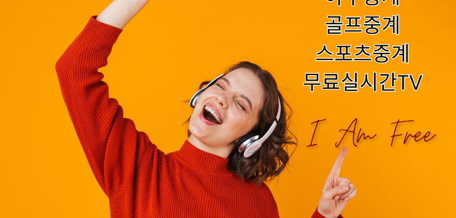 공짜티비와 무료 실시간TV의 세계